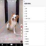 最新版TikTok 抖音国际版解锁版下载 v37.5.3 去广告 免拔卡